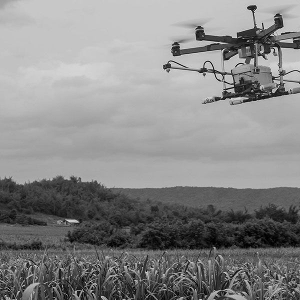 Drone mariage prix