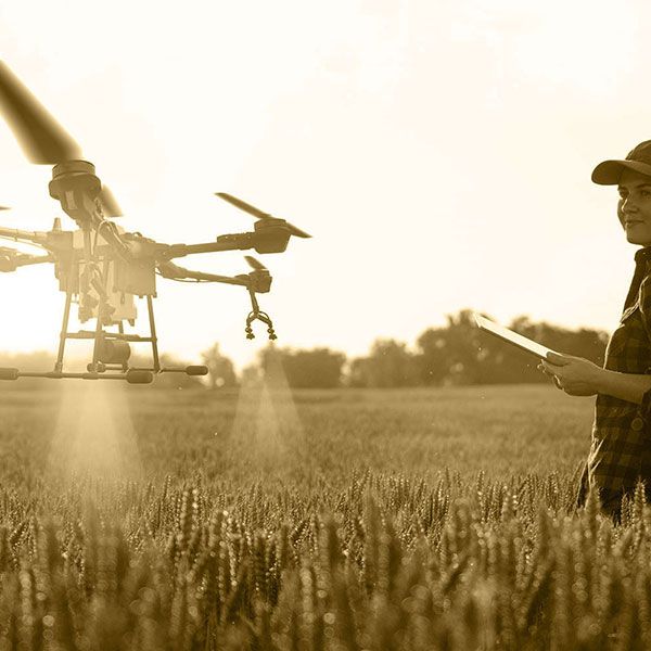 Mariage filmé par drone