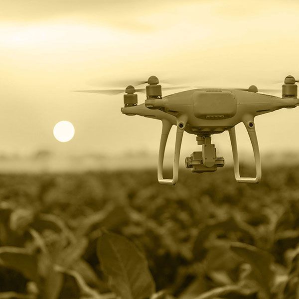 Drone mariage tarif