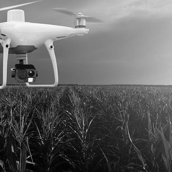 Location drone mariage