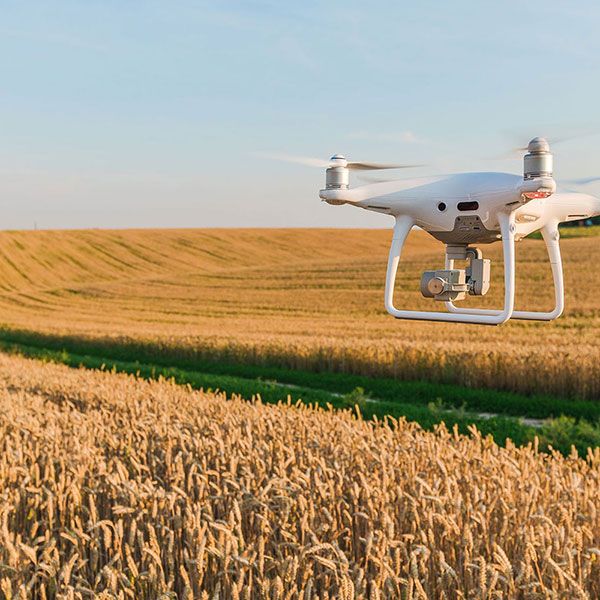 Photo mariage drone