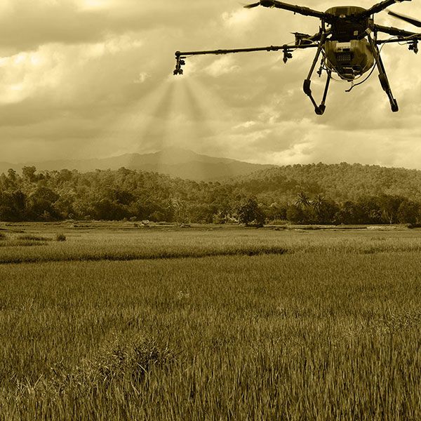 Film drone mariage