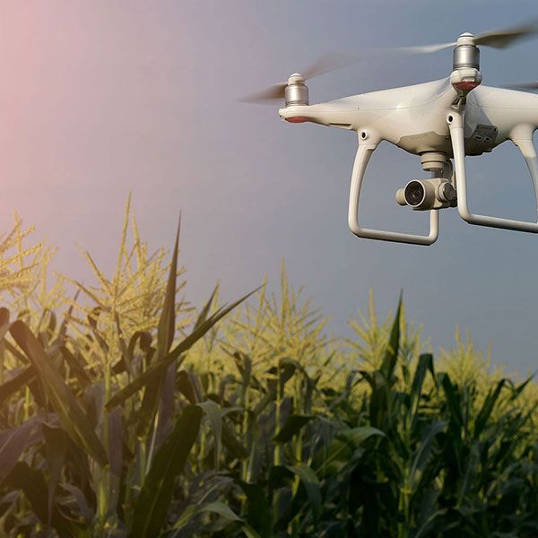 Drone mariage tarif