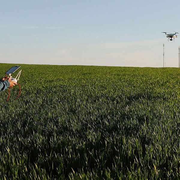 Drone mariage tarif
