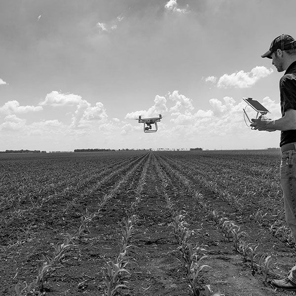 Film drone mariage