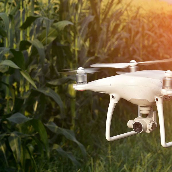 Location drone mariage