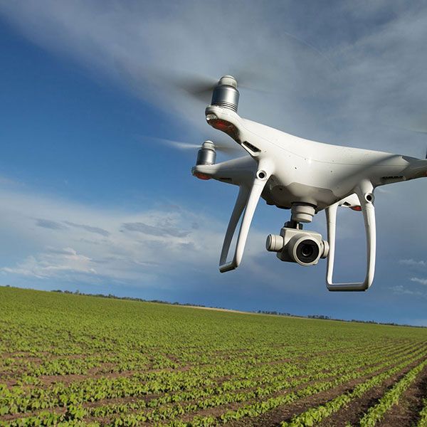 Mariage par drone