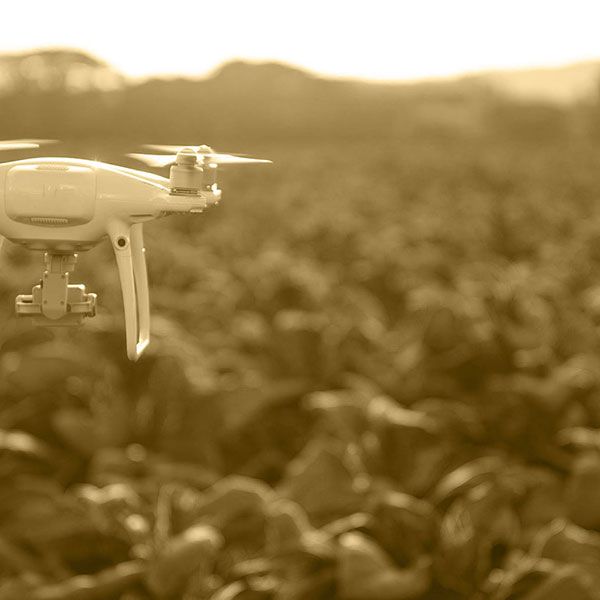 Drone mariage tarif