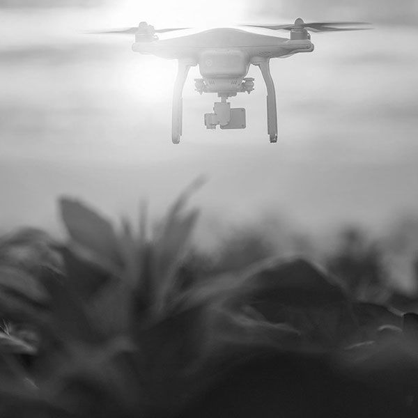 Photos et vidéos mariage par drone