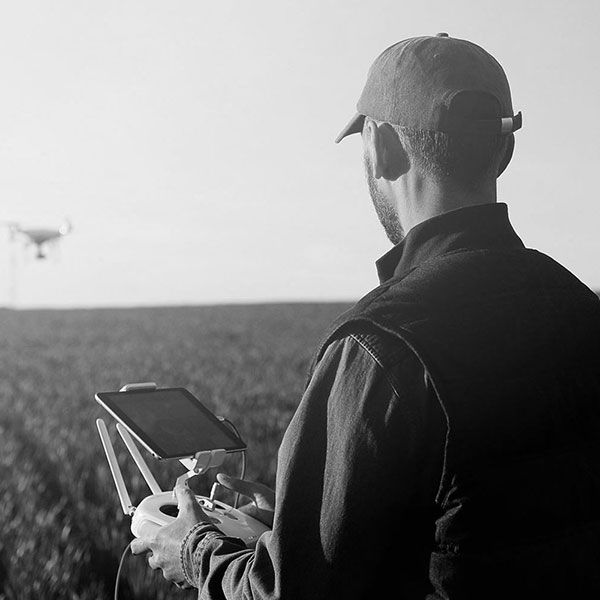 Drone mariage tarif