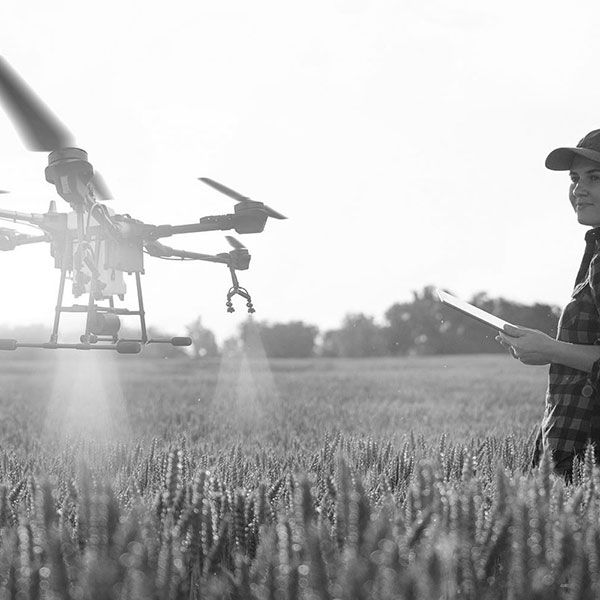 Drone mariage prix