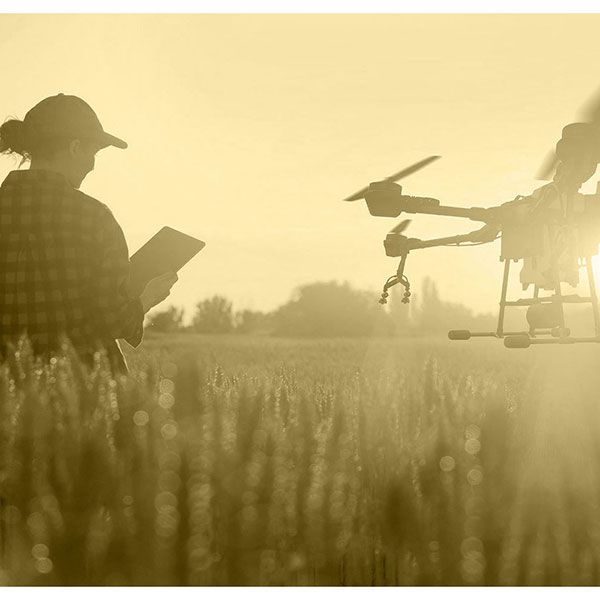 Mariage par drone