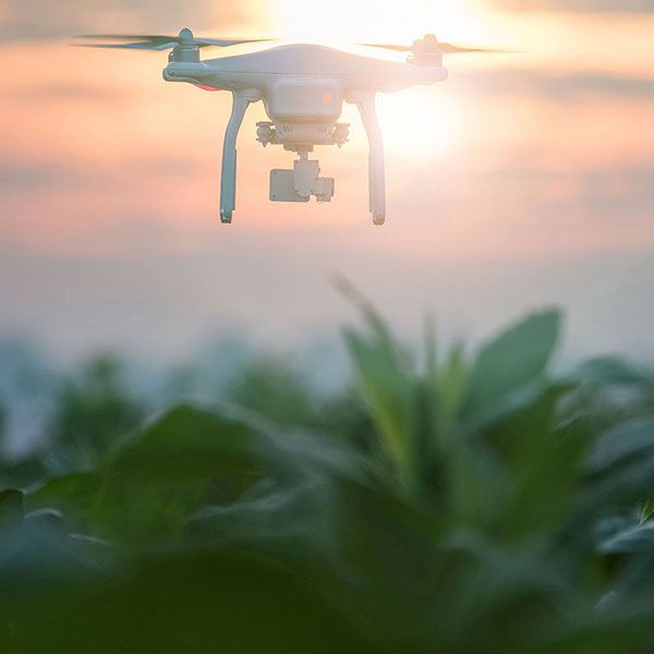 Drone professionnel mariage