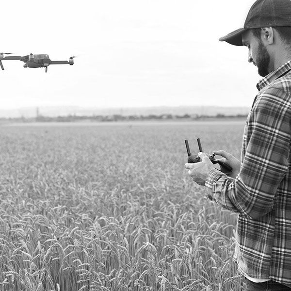Prix photo mariage drone