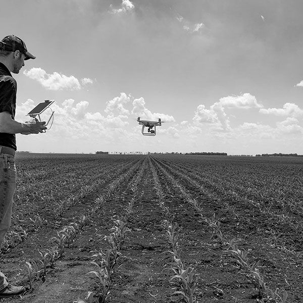 Prise de vue drone mariage