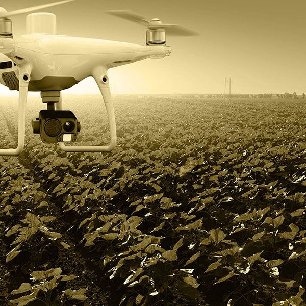 Mariage par drone