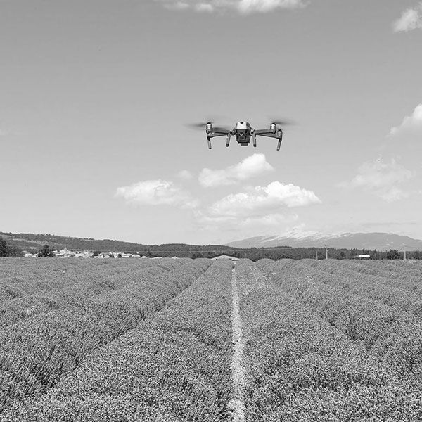Drone mariage tarif
