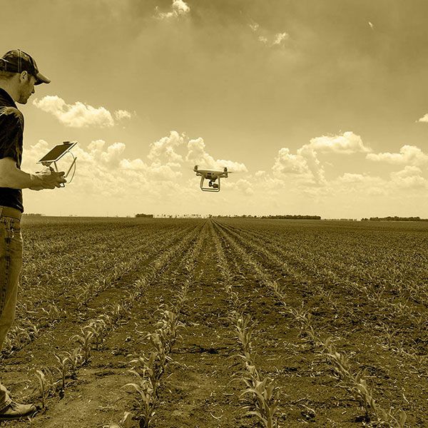 Location drone mariage