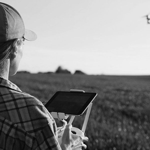 Video drone mariage