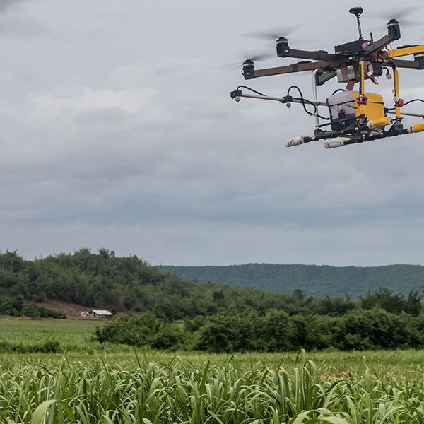 Photo mariage drone