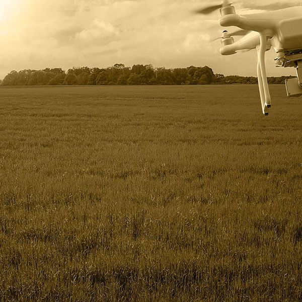 Tarif prestation drone mariage