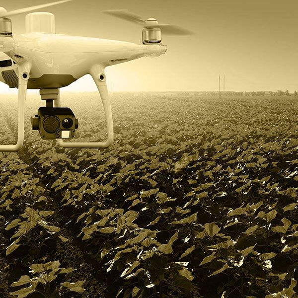 Video drone mariage