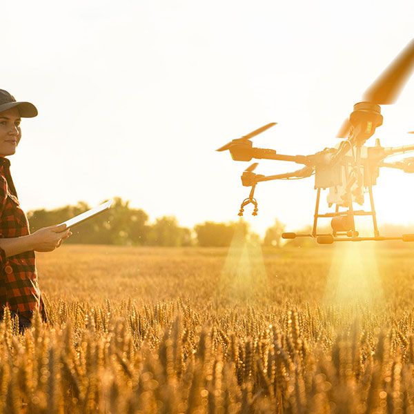 Mariage par drone