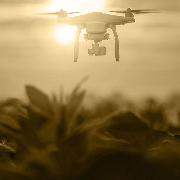 Location drone mariage