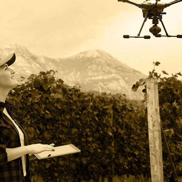 Drone mariage tarif
