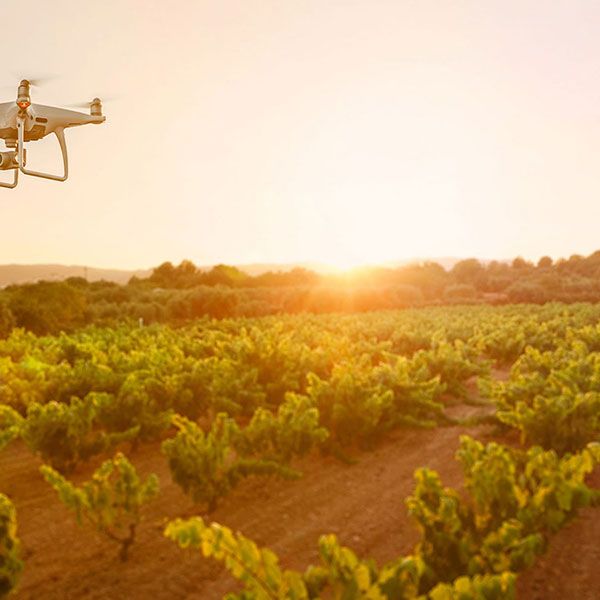 Photo mariage drone