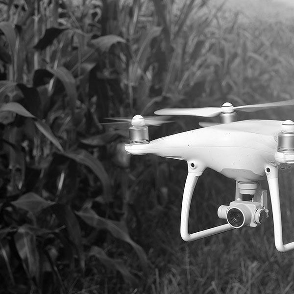 Prestation drone mariage