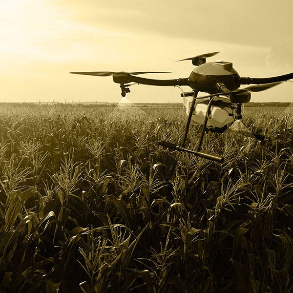 Prix photo mariage drone