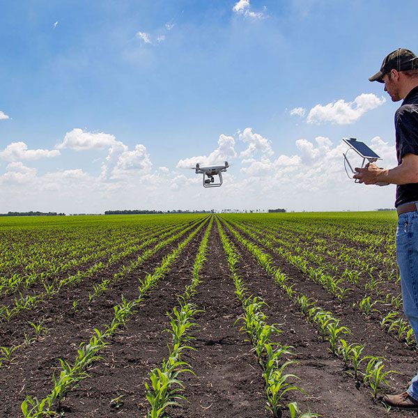 Tarif prestation drone mariage