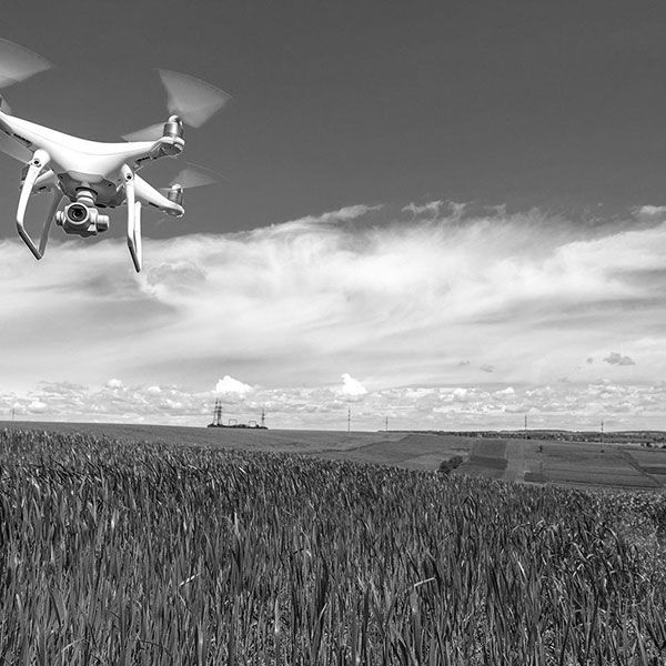 Drone professionnel mariage