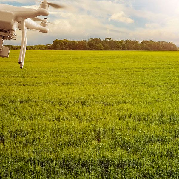 Video drone mariage