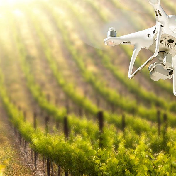 Prix drone mariage