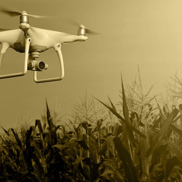 Prix drone mariage