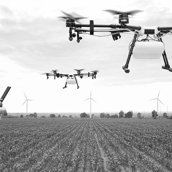 Mariage filmé par drone