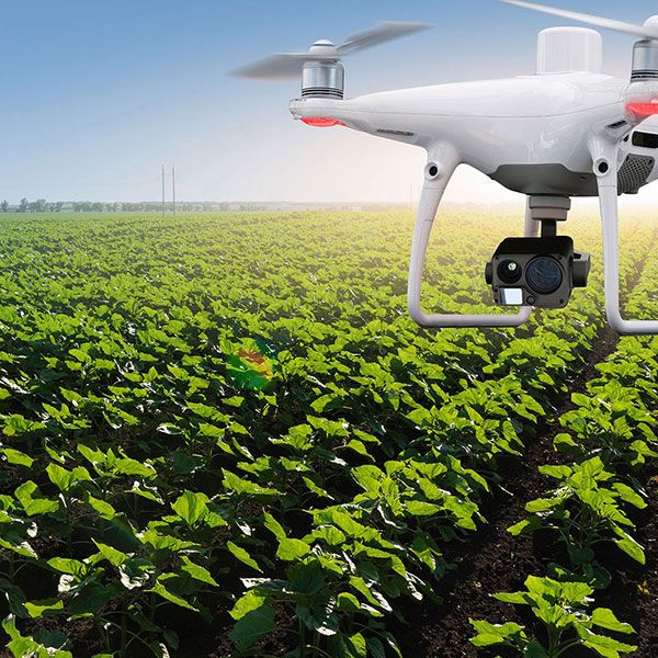 Location drone mariage