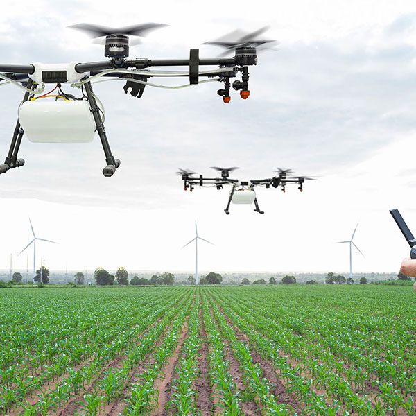 Drone mariage tarif