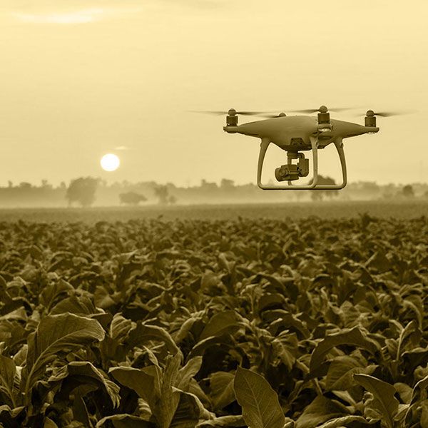 Prise de vue drone mariage
