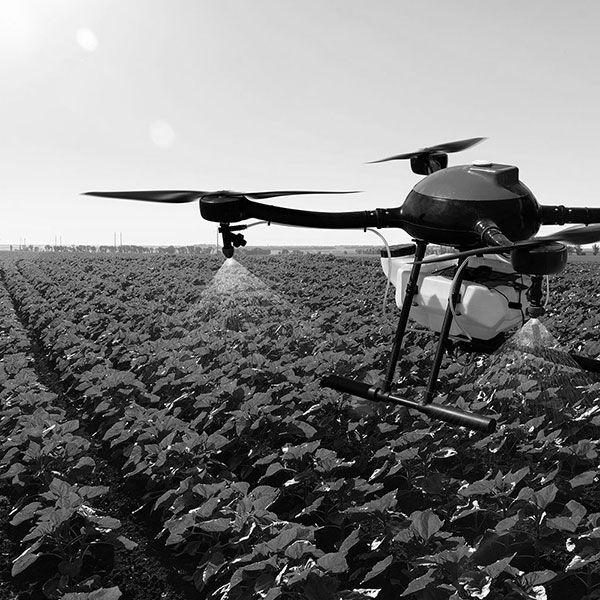 Film drone mariage