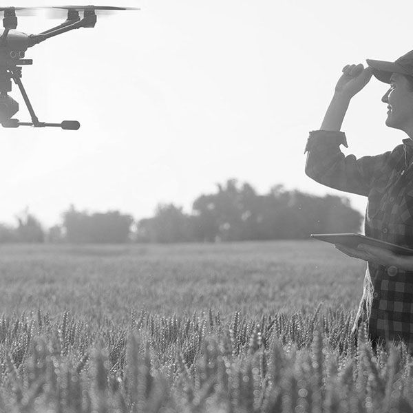Drone professionnel mariage