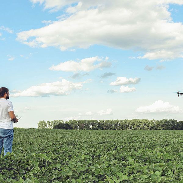 Film drone mariage