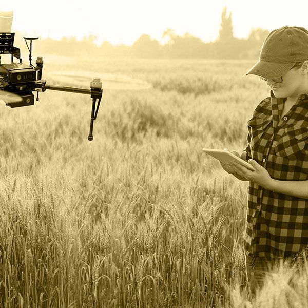 Drone mariage tarif