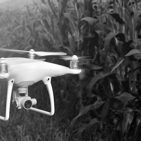 Drone mariage tarif