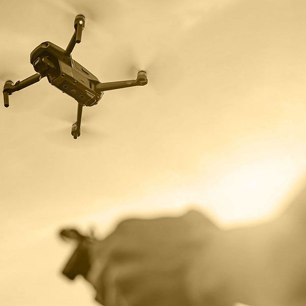 Location drone mariage