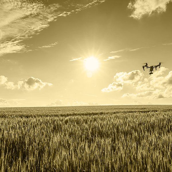 Drone mariage autorisation