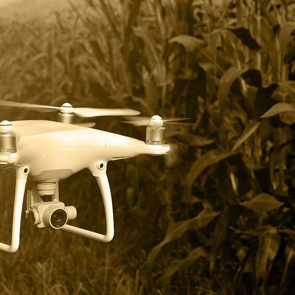 Telepilote de drone