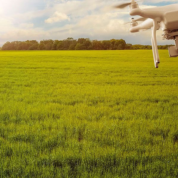 Cherche pilote de drone